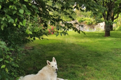 Ideos jardin